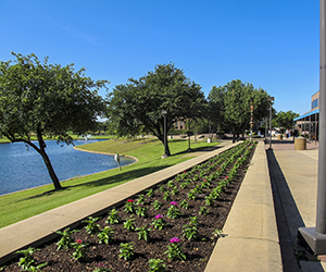 A view of the North Lake campus showing a walkway, flower garden and lake