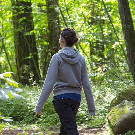 Person walking through a green forest