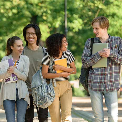 Students walking in a park