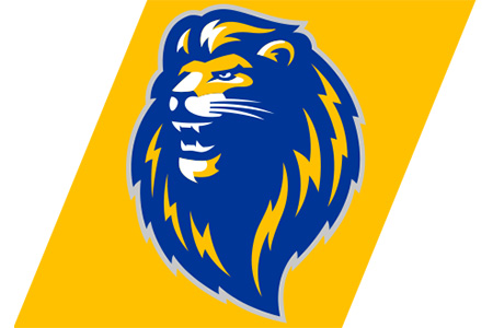 Mountain View Lion Mascot